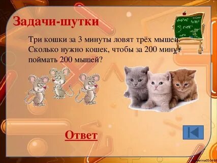 5 мышь 5 минут ловит