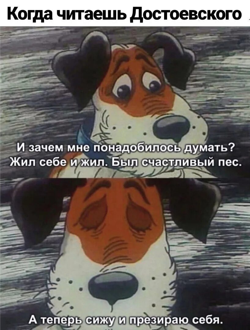 Теперь будешь думать. Много думать вредно. думать не вредно. думать иногда вредно. жил себе и жил был счастливый пес.