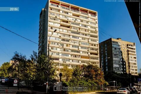4 стрелецкий