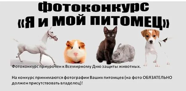 Открой моего питомца. Открой моего питомца
