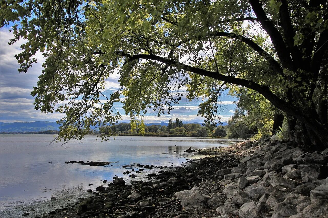 Виштынецкое озеро. Берег озера. Берег реки. Берег озера фото.