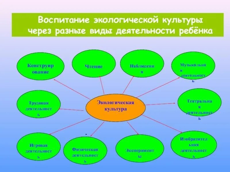 Экологическое воспитание виды. Форма организации работы по экологическому воспитанию дошкольников. виды экологического воспитания. виды экологической деятельности. формы работы по экологическому воспитанию дошкольников.