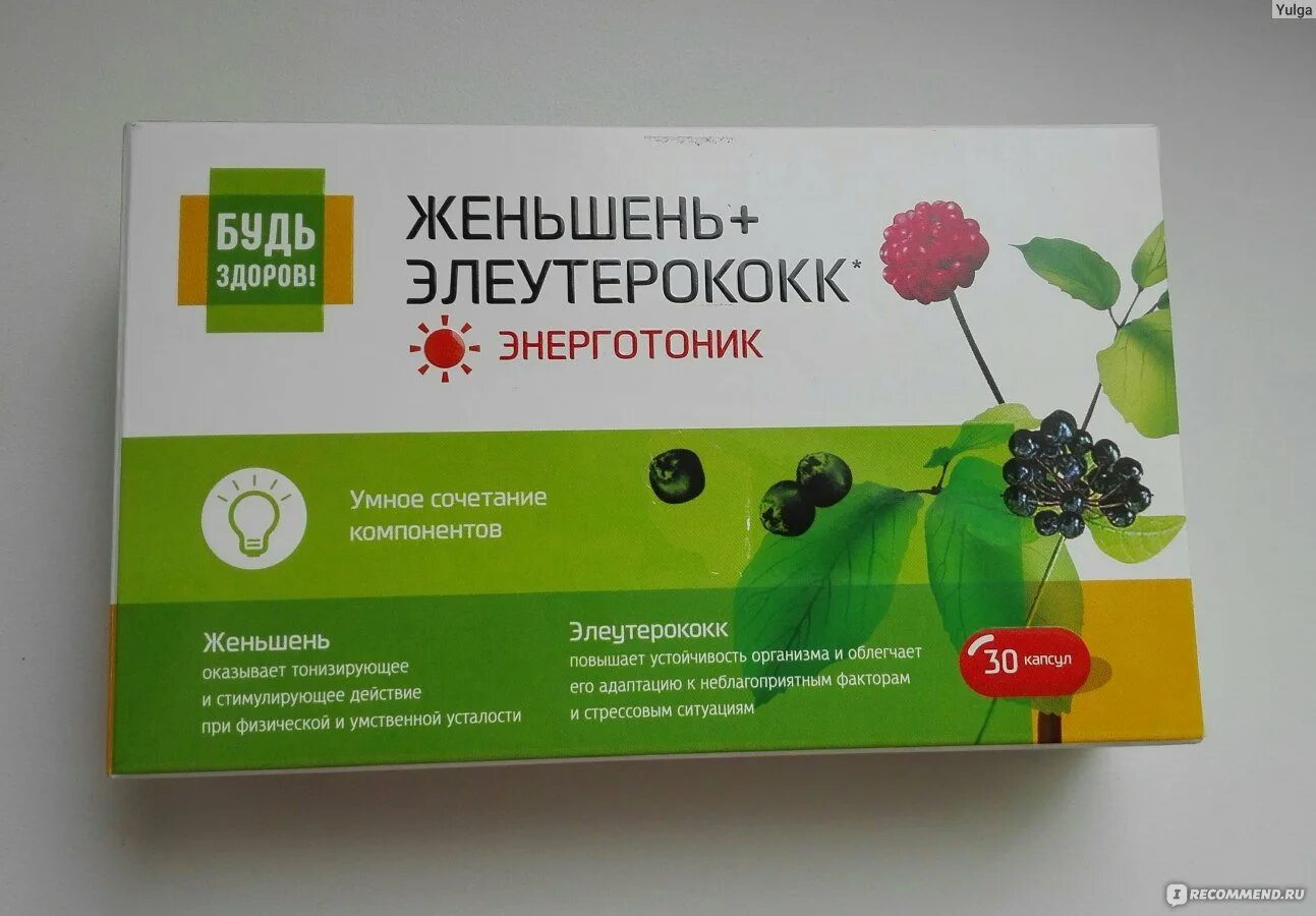 Женьшень + элеутерококк таб. Элеутерококк колючий растение. Элеутерококка колючий аптека. Экстракт элеутерококка в таблетках. Женьшень применение элеутерококк.