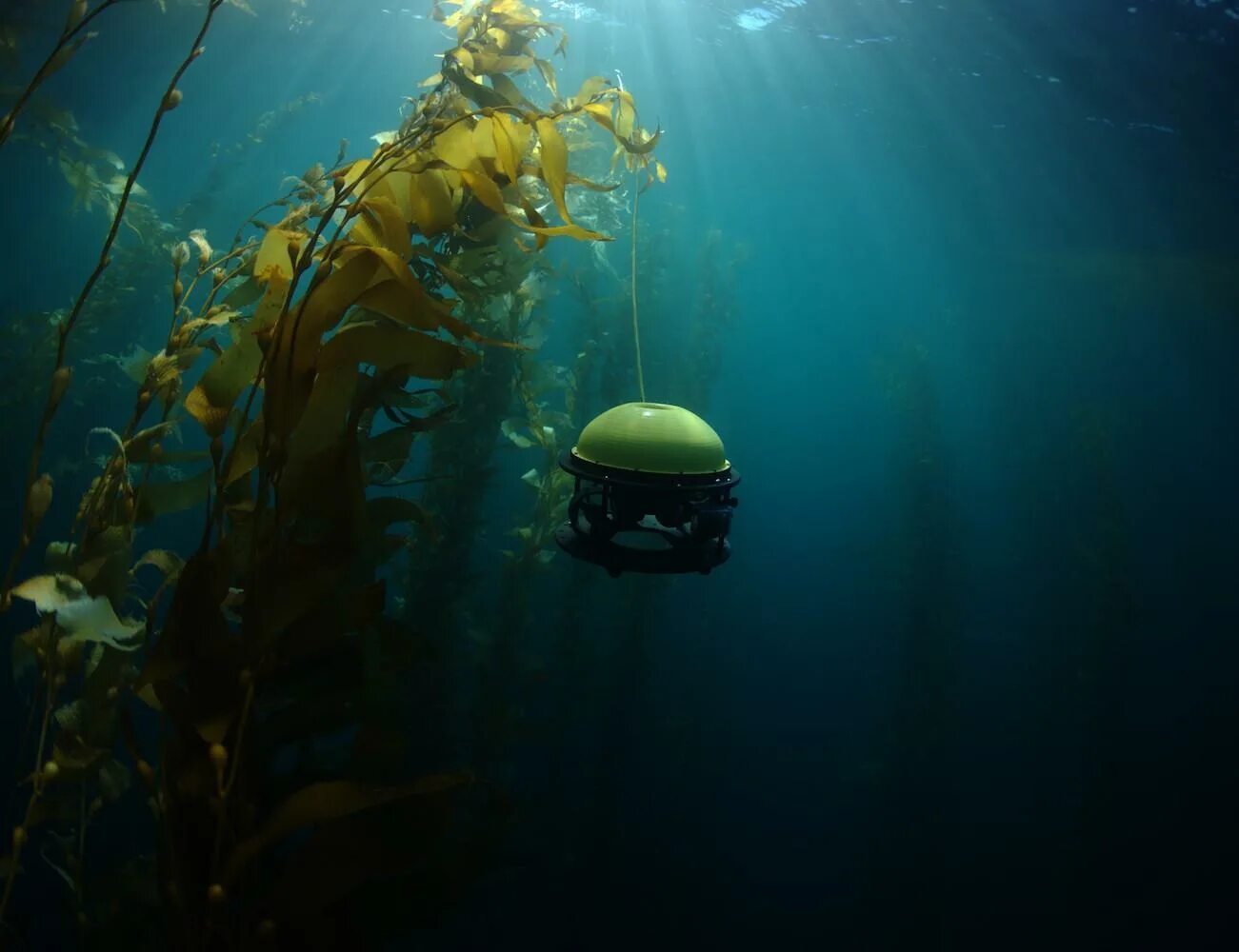 Подводные роботы. Подводный дрон. Необитаемый подводный аппарат. Подводная робототехника.