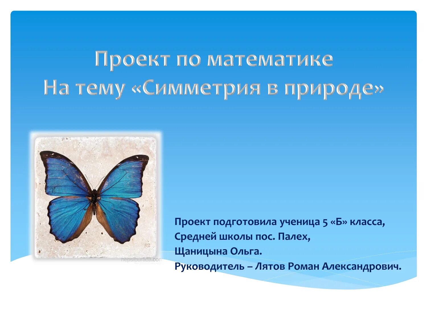 Проект симметрия 6 класс математика Ответы : что такое осевая и центральная симметрия