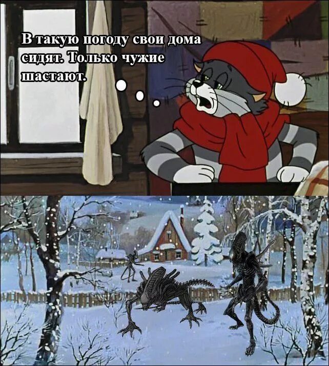 Цитаты из новогодних мультиков. Зима в простоквашино дядя федор. Вот он коварный тип гражданской наружности. Цитаты из новогодних мультиков. Крылатые фразы из новогодних мультфильмов.