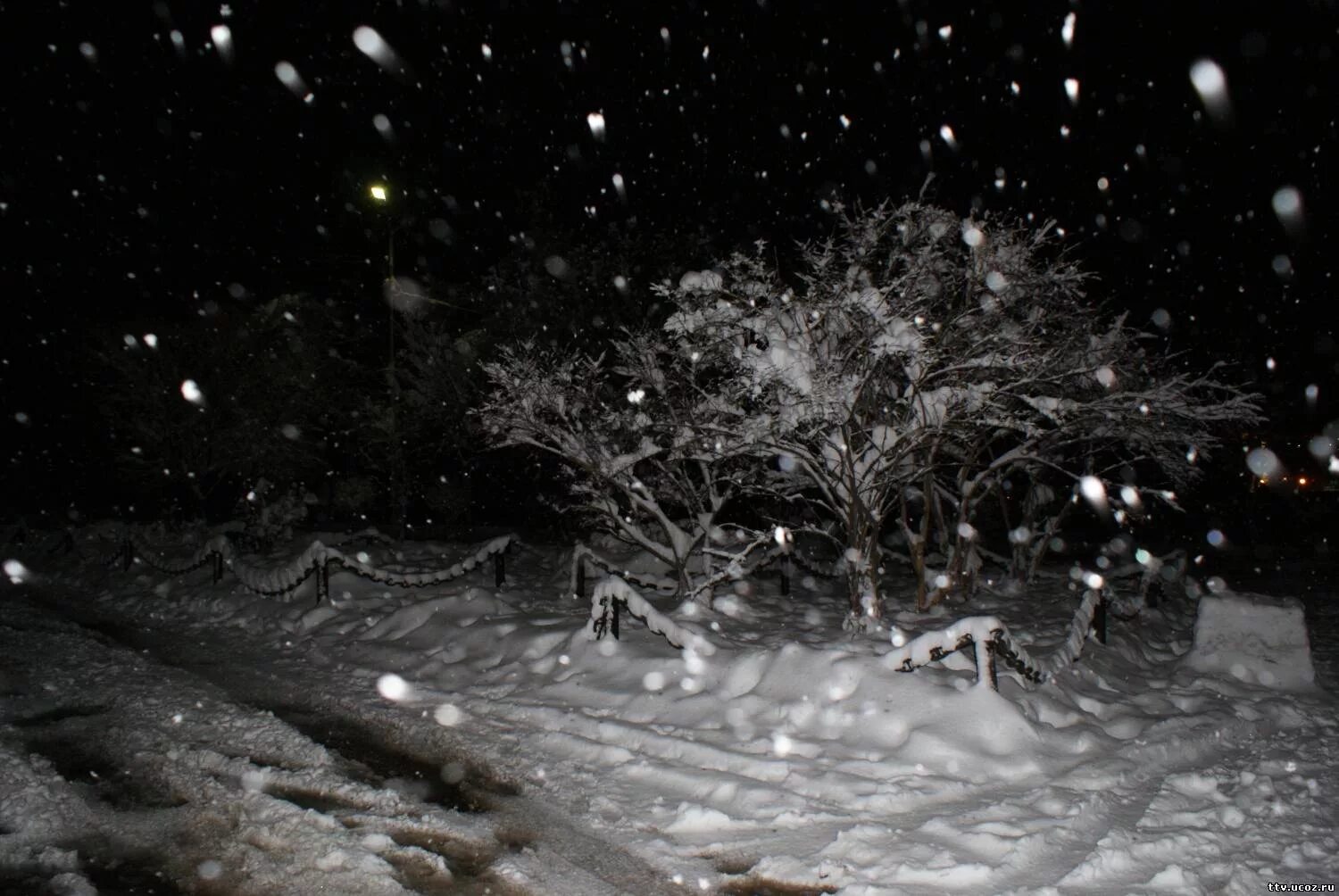 Сильный снег ночью. Снегопад ночью. Снег ночью. Метель. Зима метель.