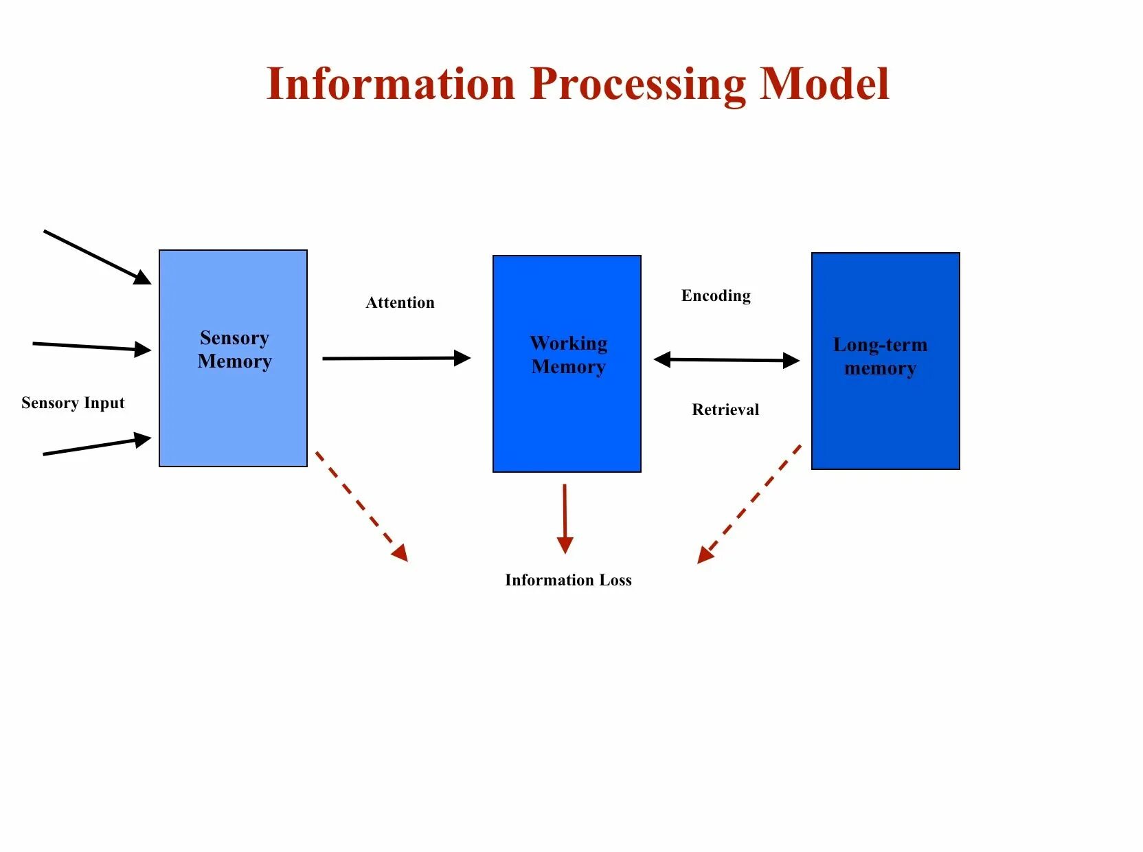 Limited processing. Processing. Среда processing. Information processing. Processing объекты.