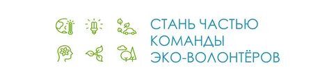 Эко став
