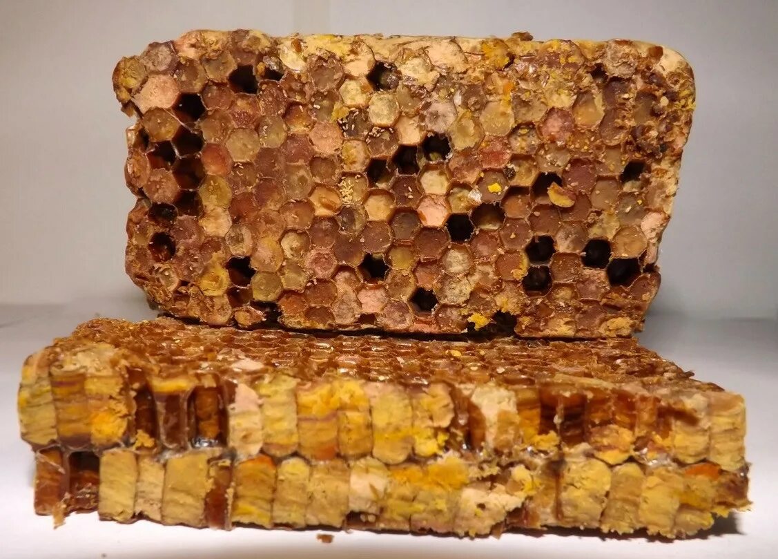 Мед в сотах с пергой. Перга в сотах. Перга в сотах. Прополис, перга, мед соты. Перга в сотах.