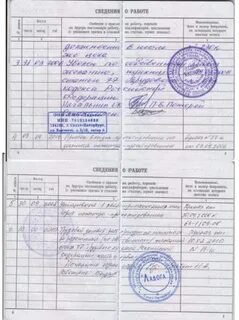 Работает по настоящее время в должности