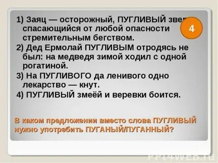 Целый цельный