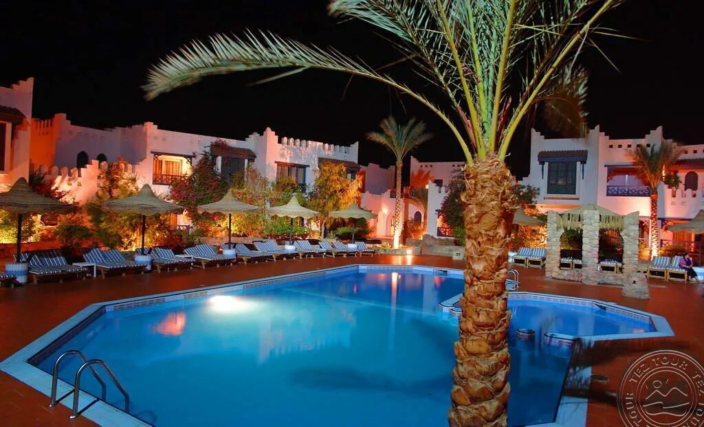 Fortuna египет шарм эль шейх. Египет new badawia sharm resort. new badawia resort 3 шарм-эль-шейх. badawia resort 3 египет. new badawia sharm resort 3 египет шарм-эль-шейх.