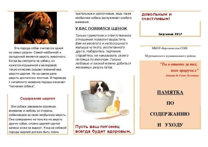 Щенки уход содержание