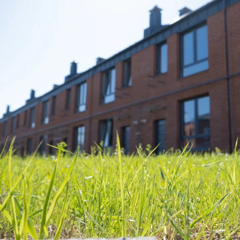 Алгоритм стрельна отзывы. Алгоритм стрельна жилой квартал. Жк алгоритм стрельна. Алгоритм стрельна отзывы. Алгоритм стрельна отзывы.