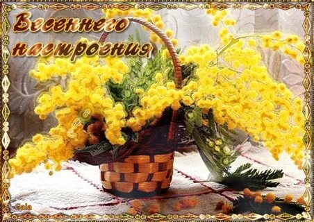 Picture background