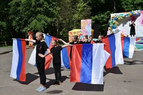 День лотошино