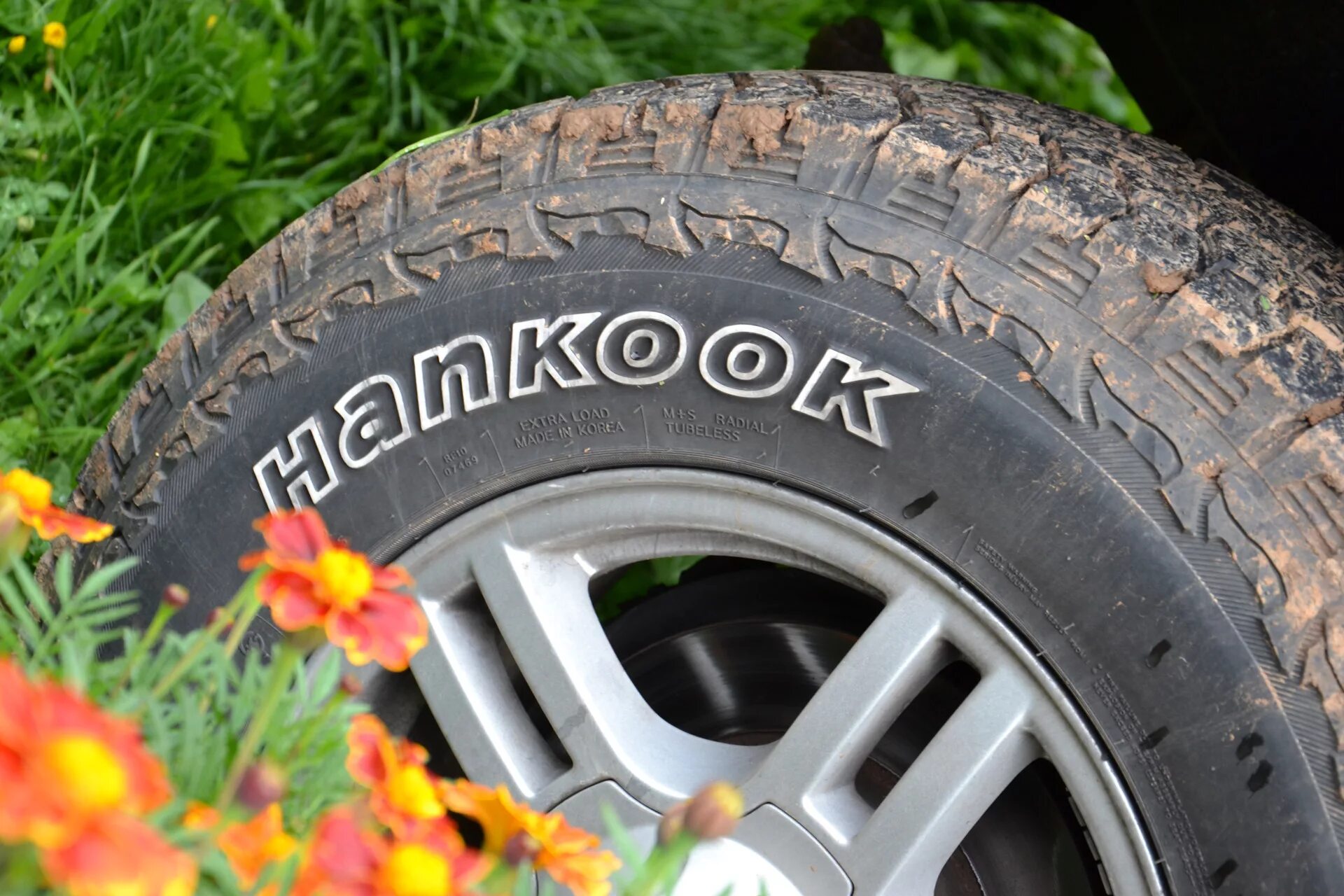 Ханкук всесезонная. Ханкук лето. Hankook всесезонные шины. Всесезонка резина для легковой машины. Тихие шины на лето