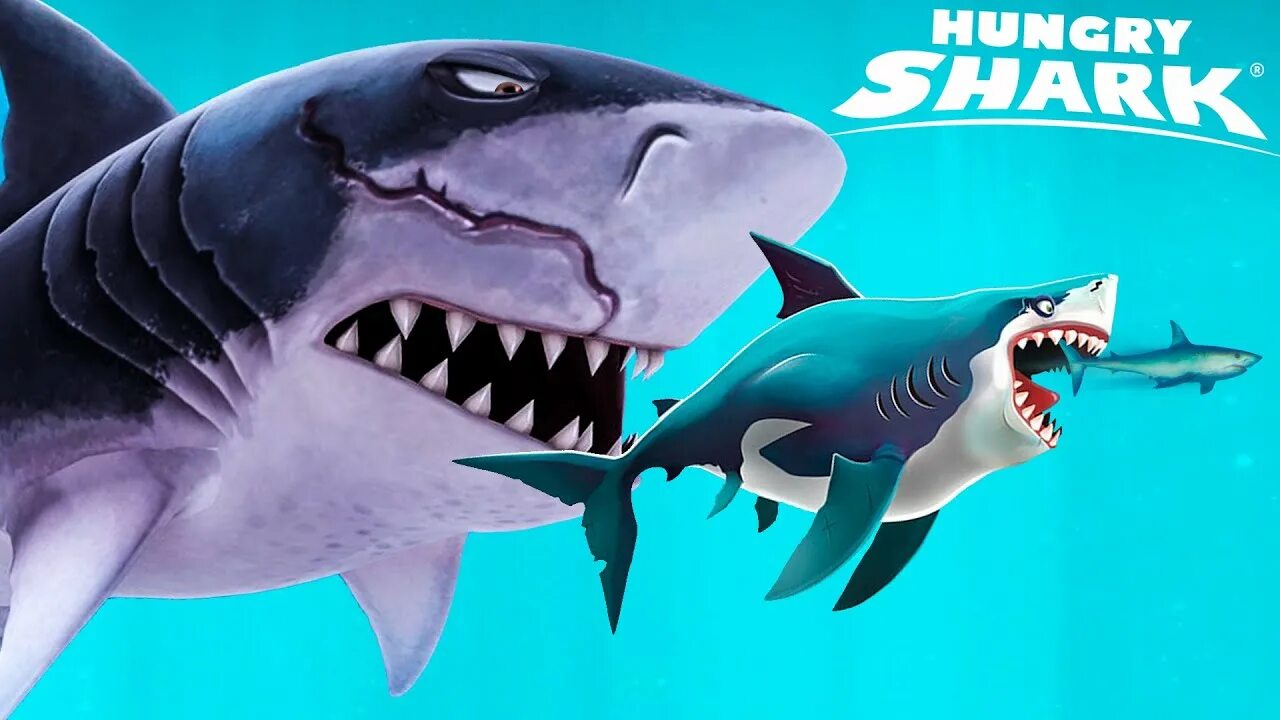 Включи акулы есть. Акула больше МЕГАЛОДОНА. Хангри Шарк Эволюшн МЕГАЛОДОН. Предок акулы МЕГАЛОДОН. МЕГАЛОДОН В игре hungry Shark Evolution.