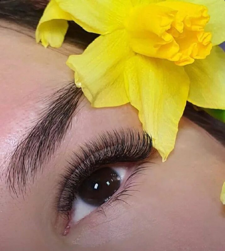 наращивание ресниц ялта. наращивание ресниц ялта. наращивание ресниц ялта. ресницы кошачий эффект. ресницы ялта.