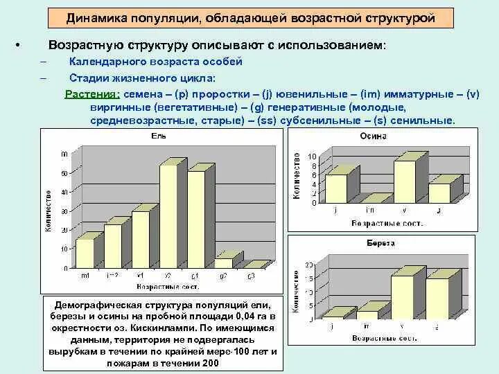 Возрастные группы популяции. Возрастная структура популяции. Структура и динамика популяций. Генеративная структура популяции. Возрастная структура популяции примеры.