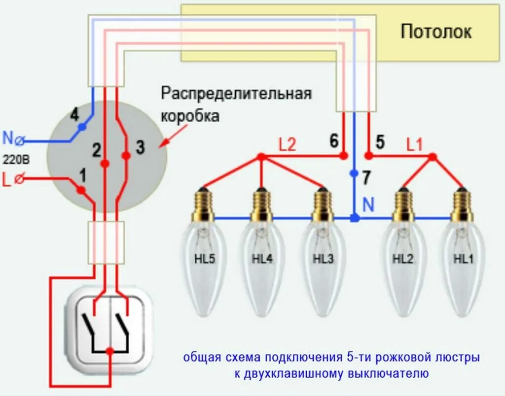 Расключение на два выключателя. Схема подключения выключателя к лампочке 2 клавиши. схема подключения лампочек к двухклавишному выключателю. схема подключения распределительная коробка выключатель светильник. схема подключения двухклавишного выключателя к люстре на 2 лампочки.