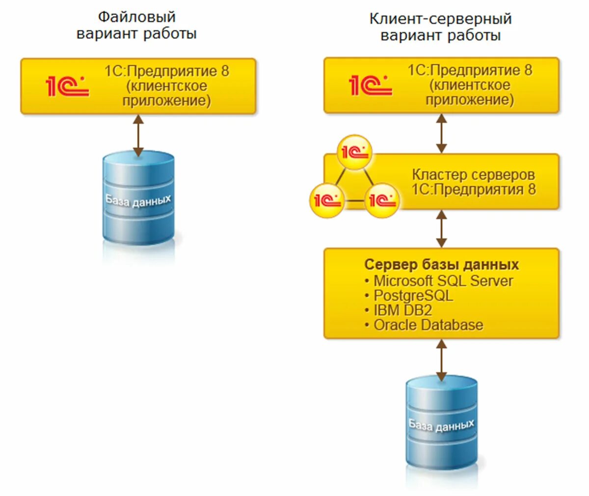 База данных 1с предприятие 8.3. Структура базы данных 1с предприятие. Типы базы данных 1с. База данных в системе 1с состоит:.