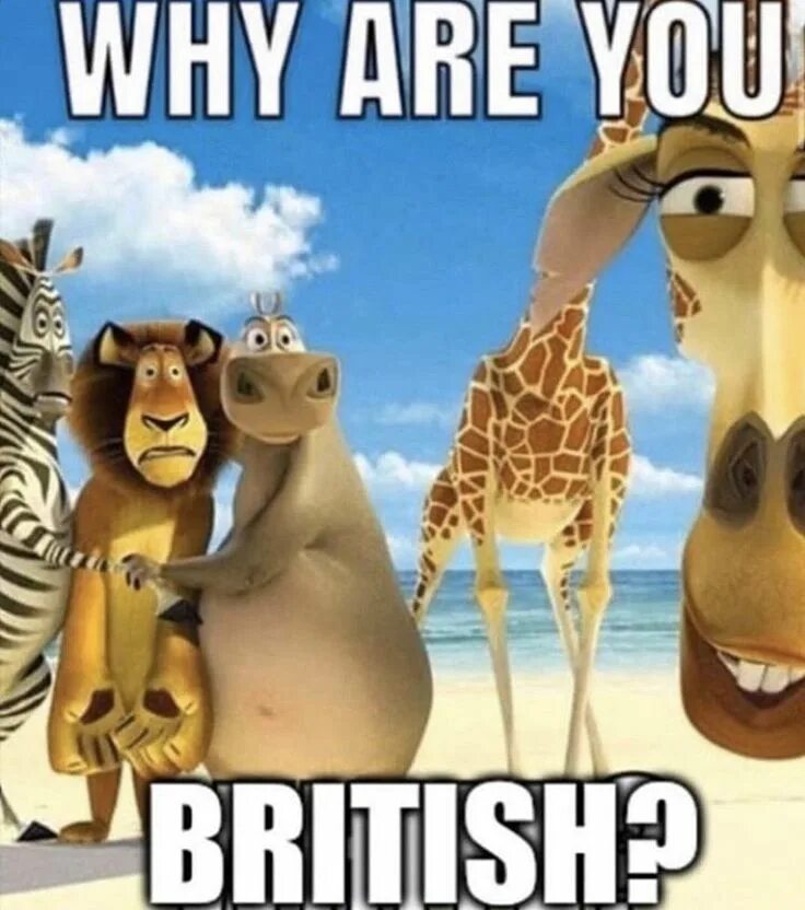 Is why no need to
