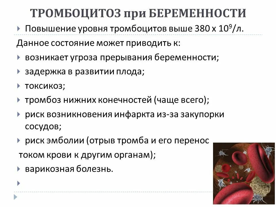 Повышены тромбоциты в крови при беременности. Повышение уровня тромбоцитов. Тромбоциты в крови при беременности. Повышение тромбоцитов в крови. Причины повышения тромбоцитов.