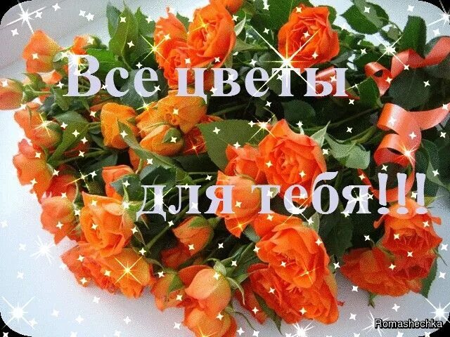 Открытки ты мне нужен. Букет цветов для женщины. Нужно ты моим цветам. Я дарю тебе цветок стих. Какие ваши любимые цветы.