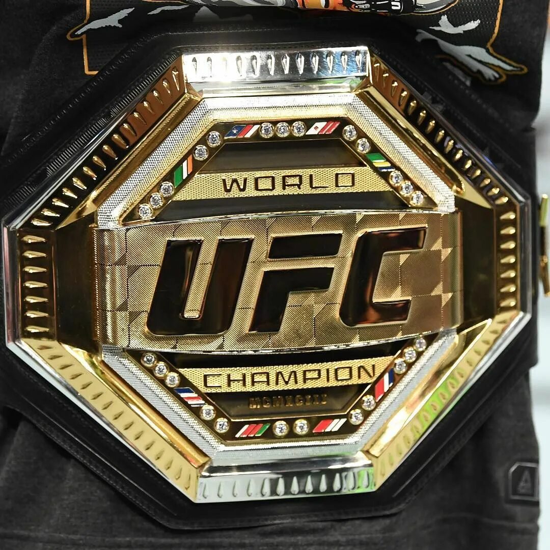 Титулы ufc. Пояс юфс новый. чемпионский пояс юфс. новый пояс чемпиона юфс. пояс чемпиона ufc.