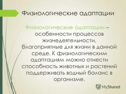 Физиологическая адаптация к школе