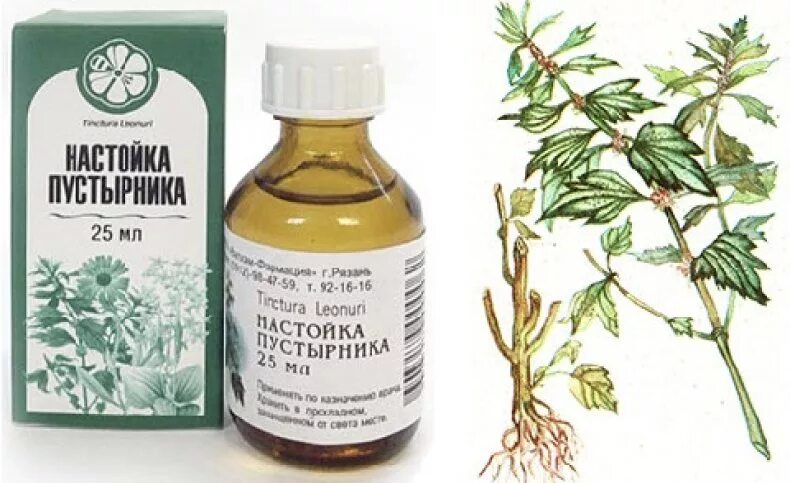 Через сколько действует настойка пустырника. Трава пустырника настойка. настой травы пустырника. экстракт травы пустырника. пустырник пятилопастный аптека.