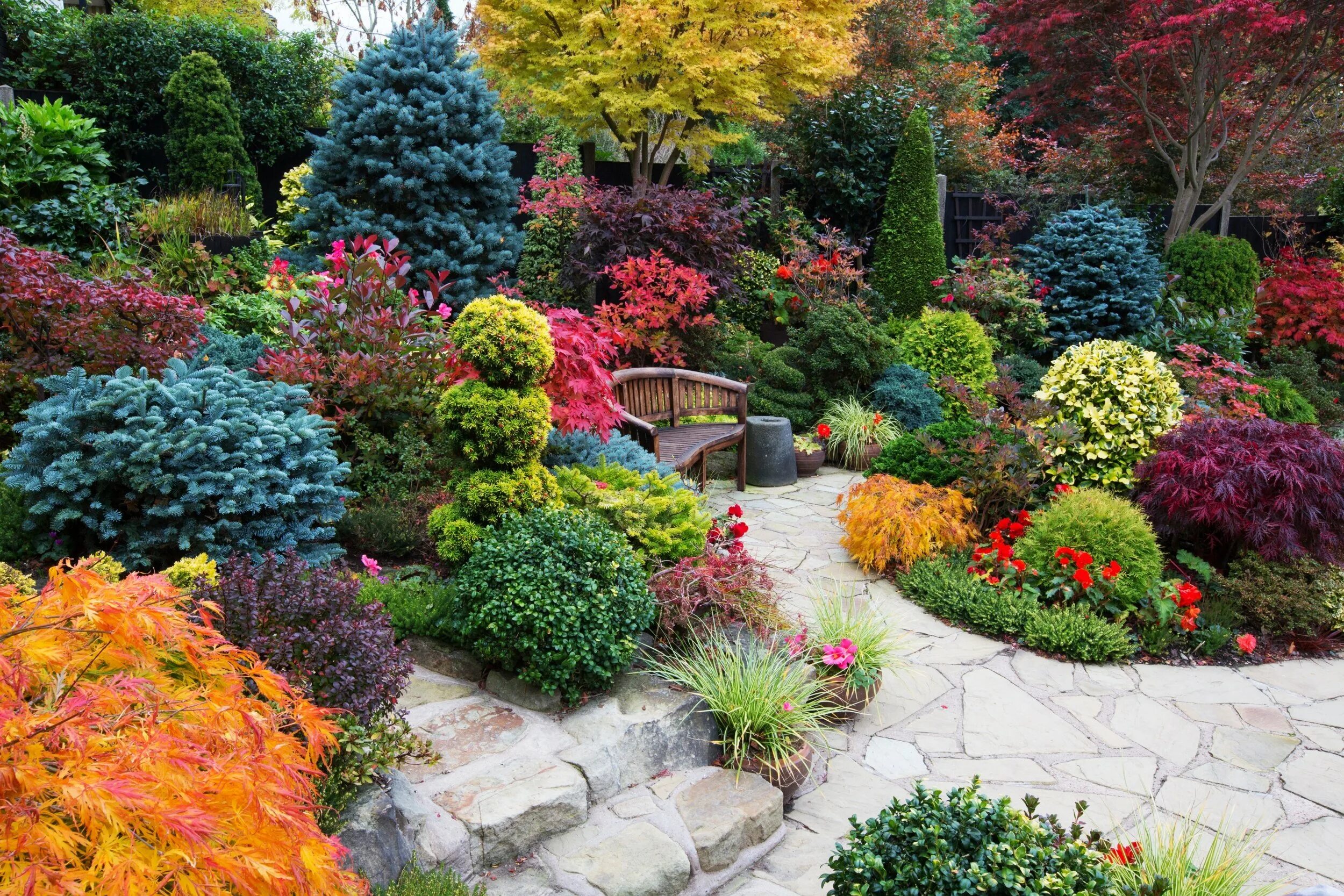 Цветочный сад. Ландшафт гуллари. Хвойники в саду англия. Моноцветник розарий. Клумбы с декоративными кустарниками.