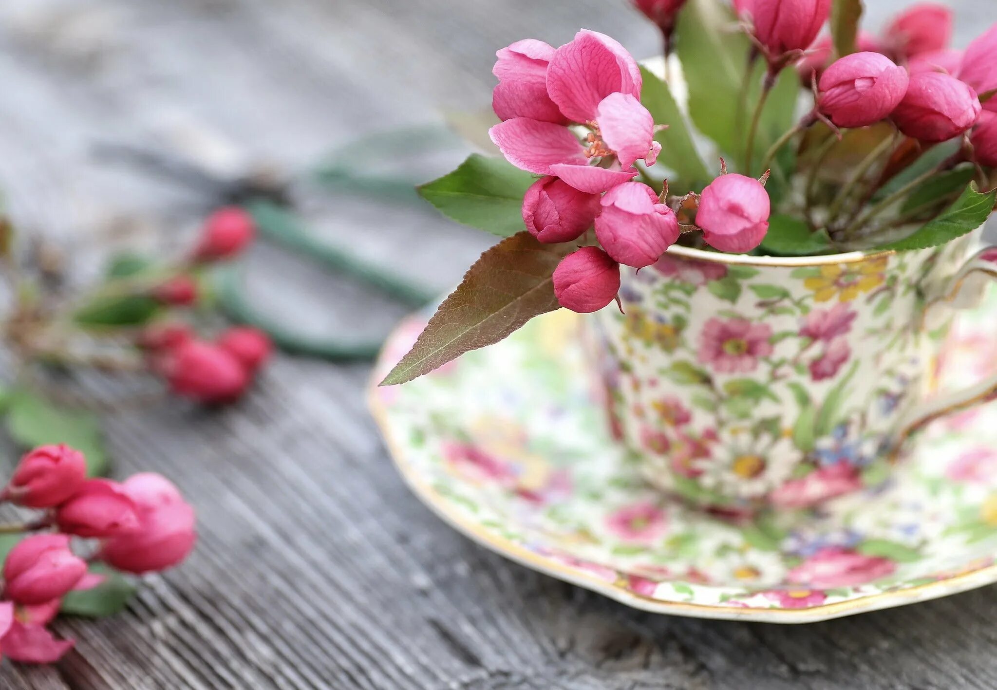 Цветы в кружке. Весенние цветы в чашке. Нежные весенние цветы. Доброе утро апреля и хорошего настроения