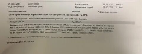 Хгч 1000