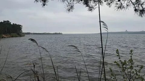 Летучий корабль воронеж над водохранилищем