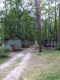 Соколовское московская область