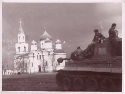 Грайворон белгородская бои