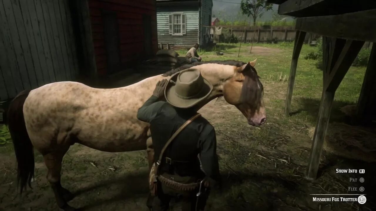 Рысак рдр 2. Миссури фокс троттер red dead redemption 2. missouri fox trotter рдр 2. фокстроттер rdr 2. миссури фокс троттер лошадь.