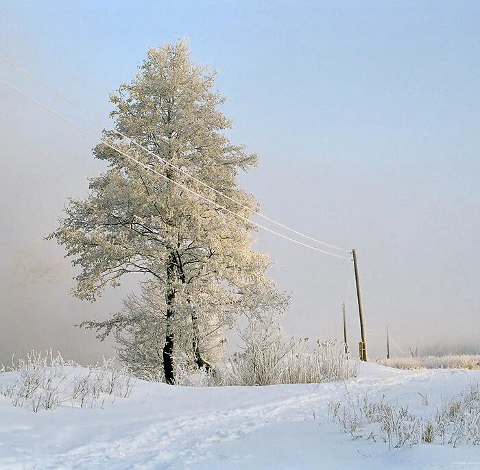 Шведский фотограф хокан странд. Зима пустота серая. Зимнее поле. Одинокий человек. Зима пустота.