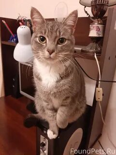 Каткем