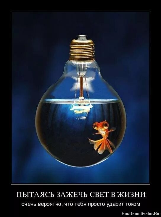 очень вероятно. вертикальная методика в экономике. ну вообще то да. ну да но вообще то нет мем с пиратом. очень вероятно.