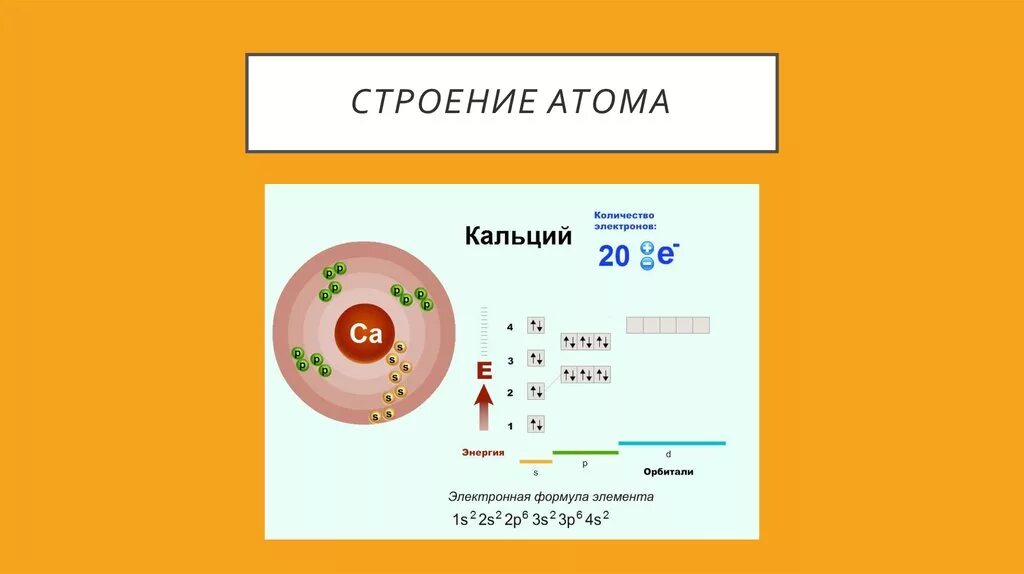 Сколько атомов в кальции. Строение электронной оболочки кальция. Формула состава атома кальция. Схема строения электронной оболочки атома кальция. Формула электронных оболочек кальция.