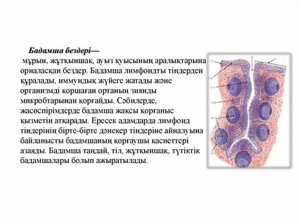 Трусики киген әйелдердің үйдегі фотосуреттері