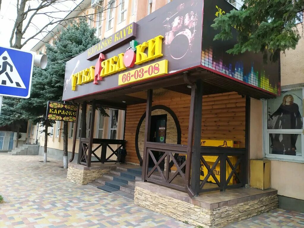 караоке ланфрен ланфра караоке. утка кряква самец. танец веселых утят. утки караоке. утки розенбаум караоке.