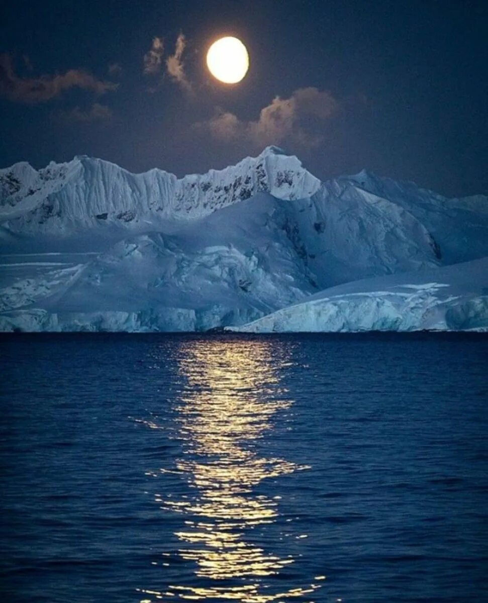 Антарктида фон. Самый большой шельфовый ледник антарктиды. Антарктида ю. Пролив лемэра антарктика. Антарктида ночью.