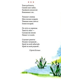 С есенин топи да болота