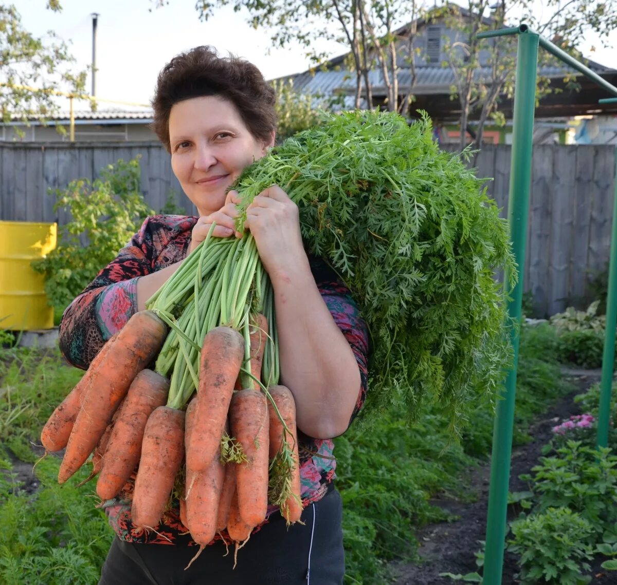 Какую почву любит морковь. Овощи на огороде. Урожай моркови. Женщина с большим урожаем. Морковь в огороде.