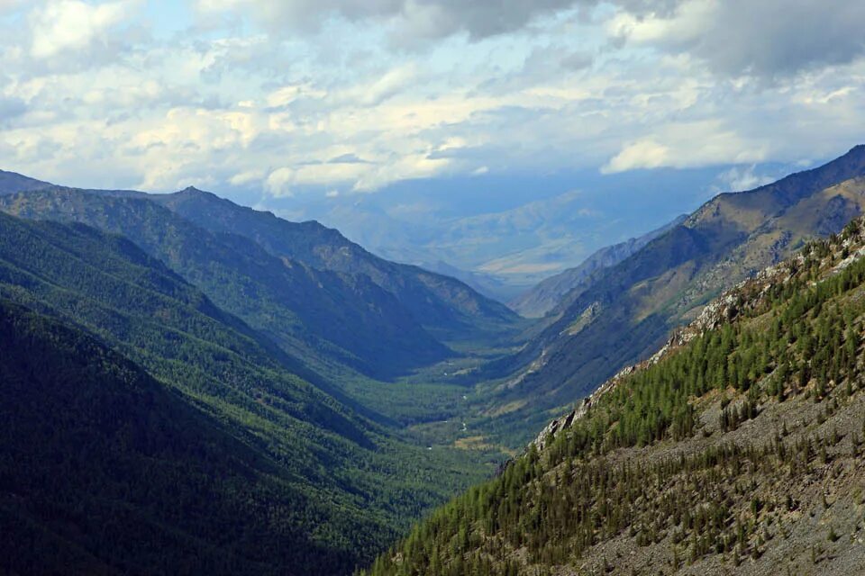 республика алтай черневая тайга. черневая тайга алтайского края. горный алтай тайга. горный джайлоо алтай. горный алтай тайга сибирь.